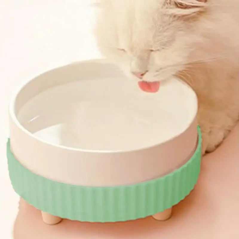 Heated Cat Bowl Rechargeable