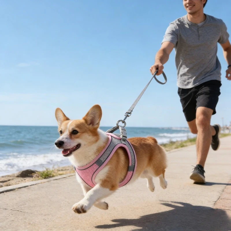 Escape Proof Cat Harness