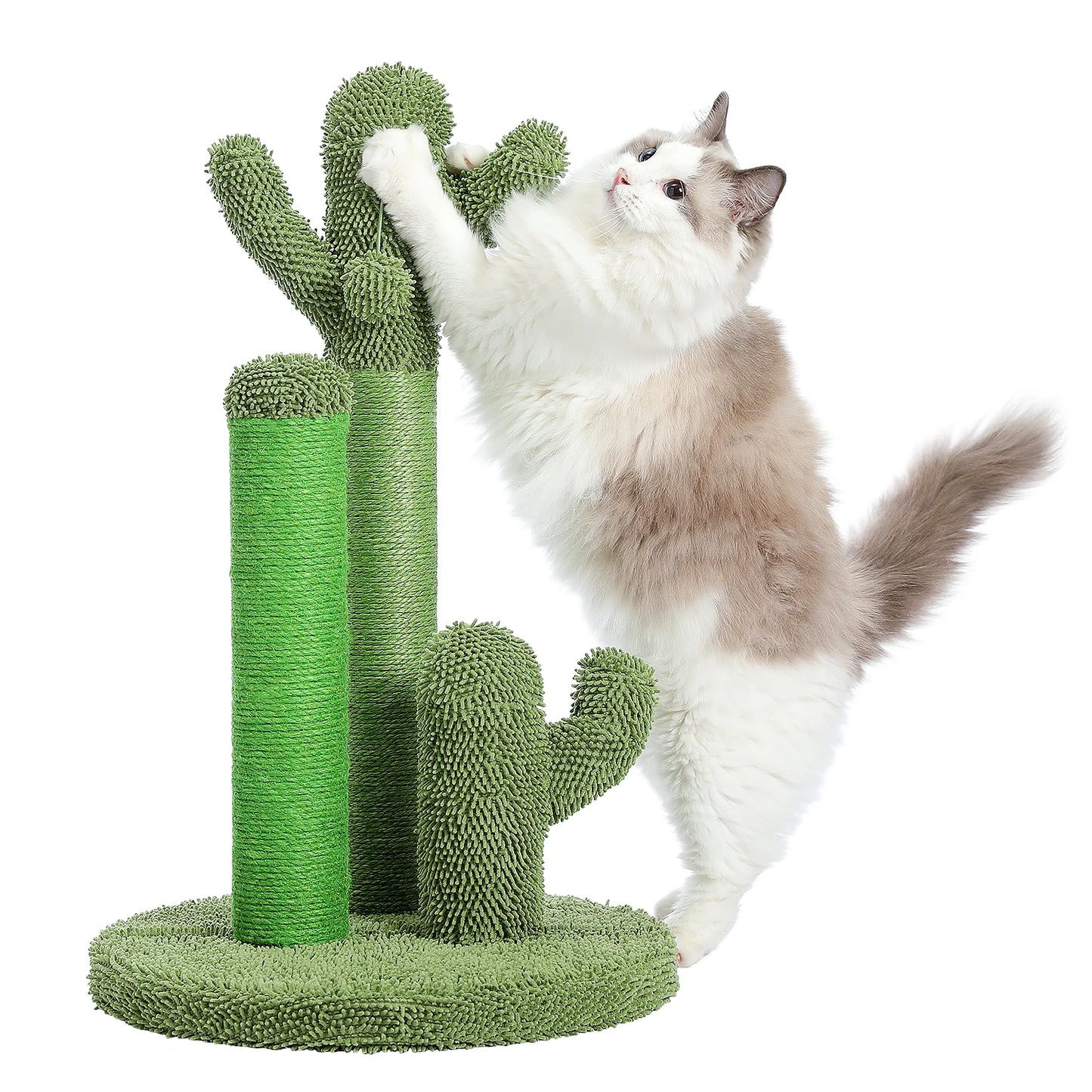 Cactus Cat Scratching Post