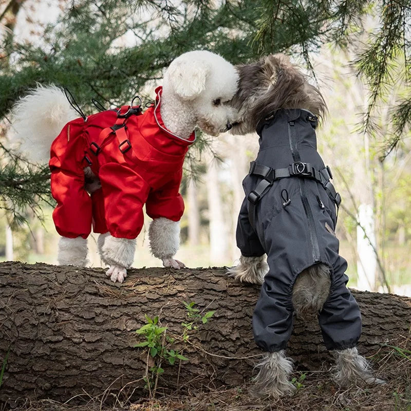 Dog Raincoat With Harness