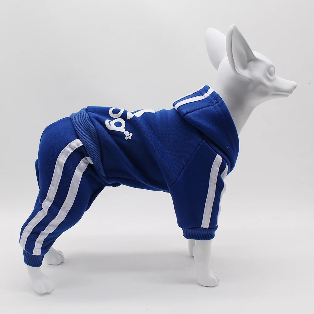 Brand Design Adidog Clothing