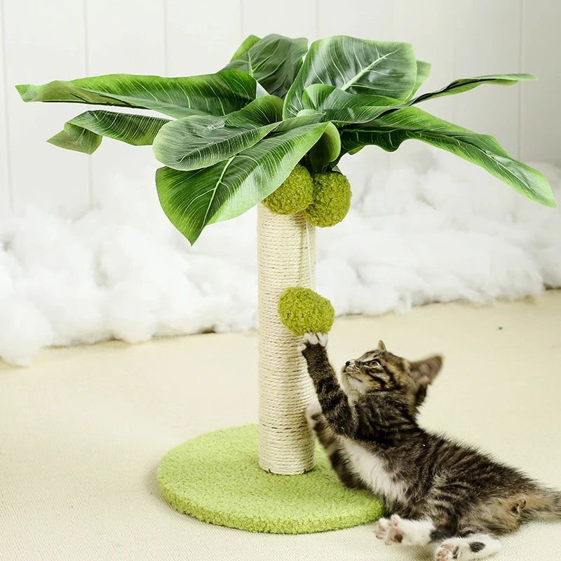 Cat Scratching Post