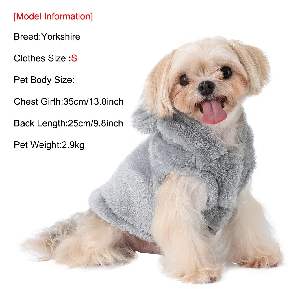 Winter Warm Cat Hoodie