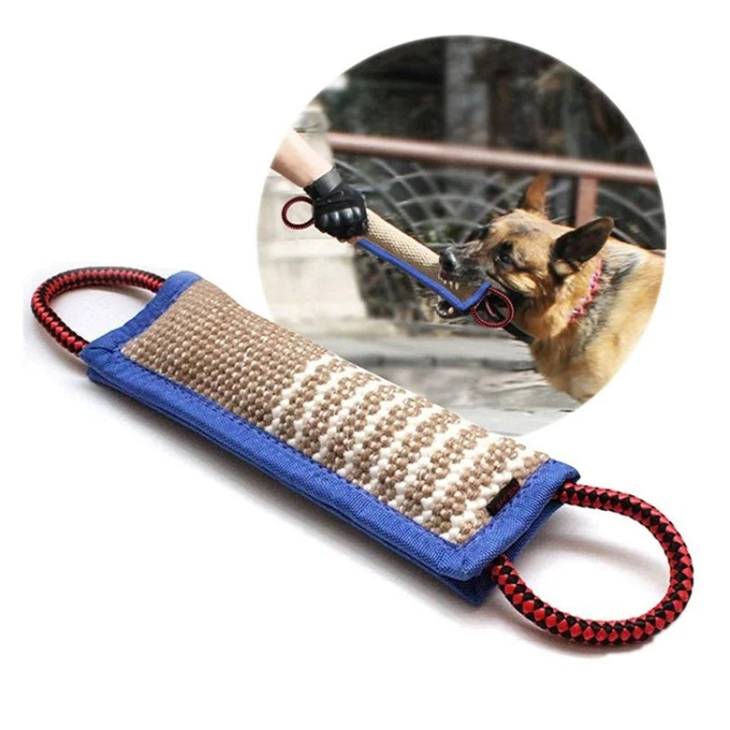 Interactive Dog Toy
