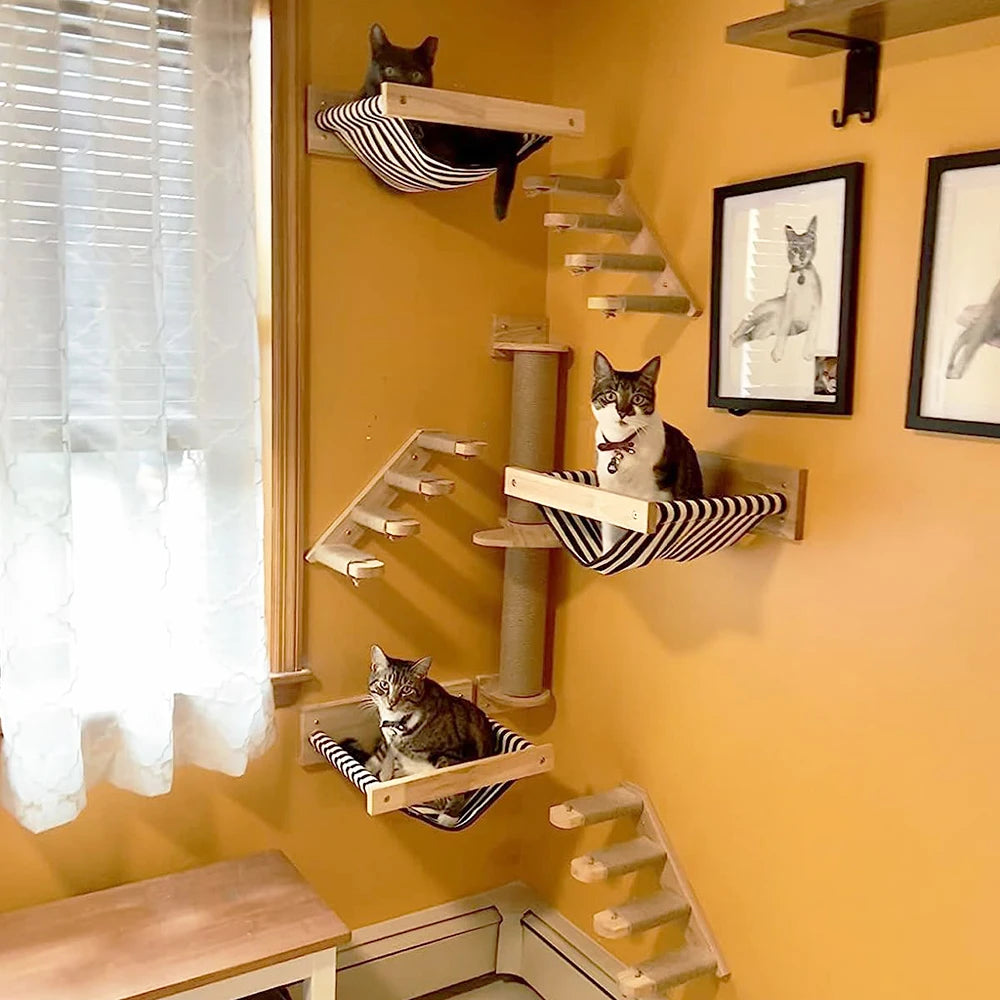 Cat Climbing Shelves Wall Mounted
