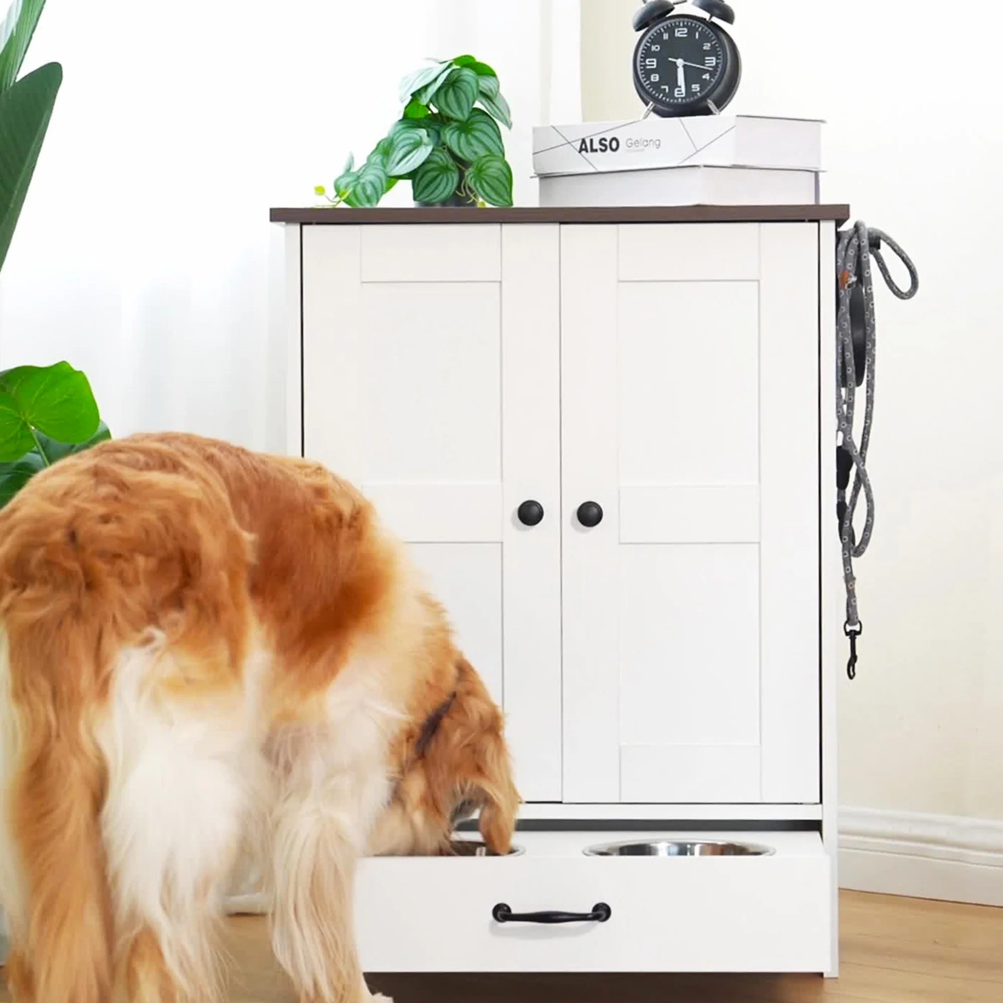 Pet Feeding Station Food Storage Cabinet