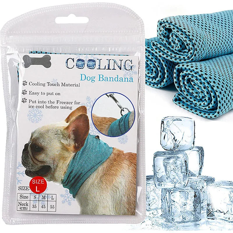 Summer Ice Dog Collar