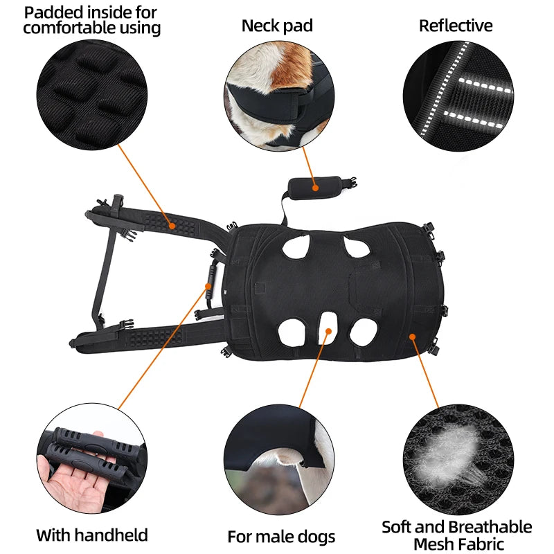 Multifunctional Pet Dog Carrier