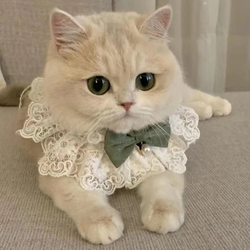 Cute Cat Bow Collar Lace