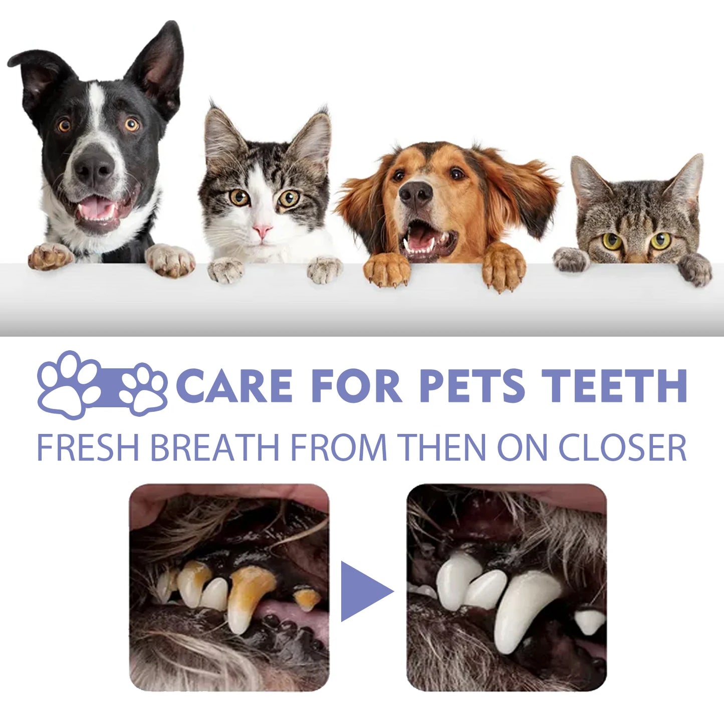 Pet Dental Spray for Dogs and Cats