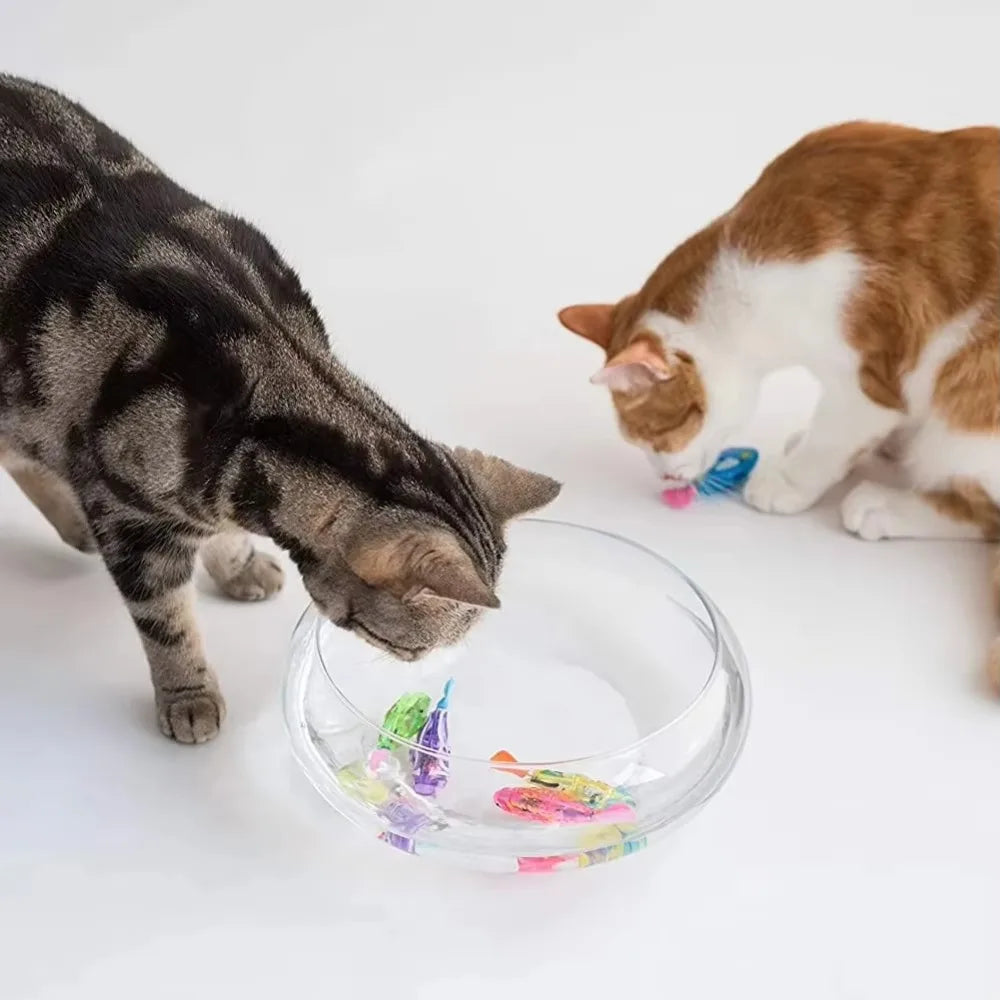 Fish Cat Toy
