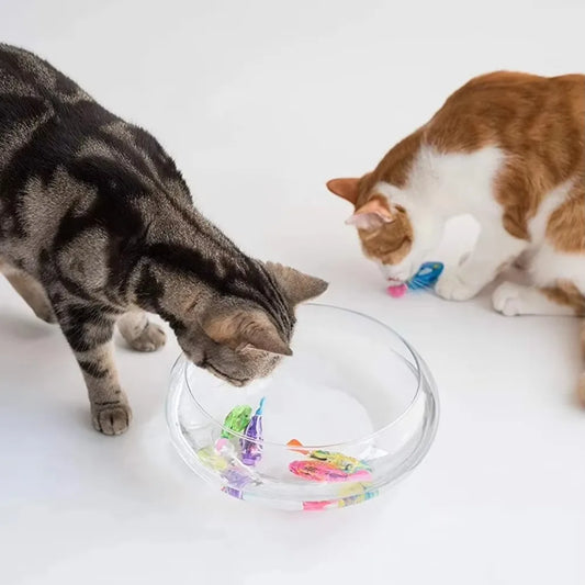 Fish Cat Toy