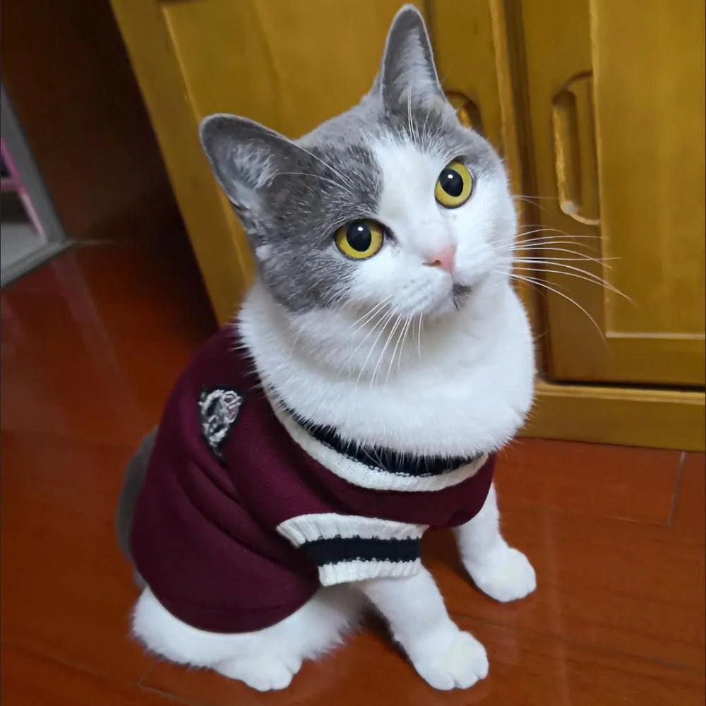 Dog Cat Sweater Hoodies