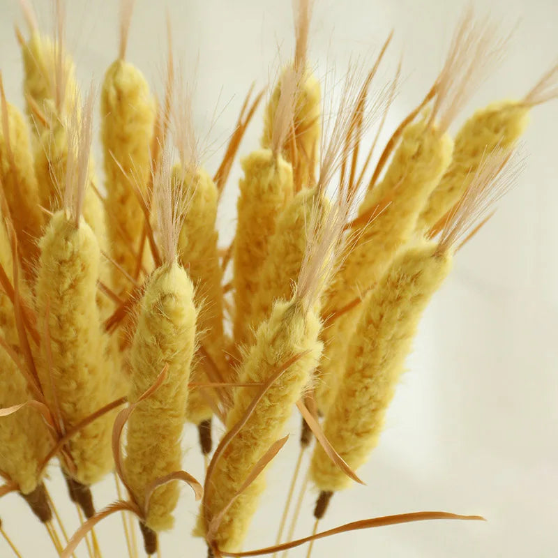 Wheat Ear Cat Tweezers,