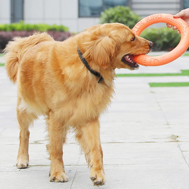 1pc Orange Dog Toys Pet Flying Disk