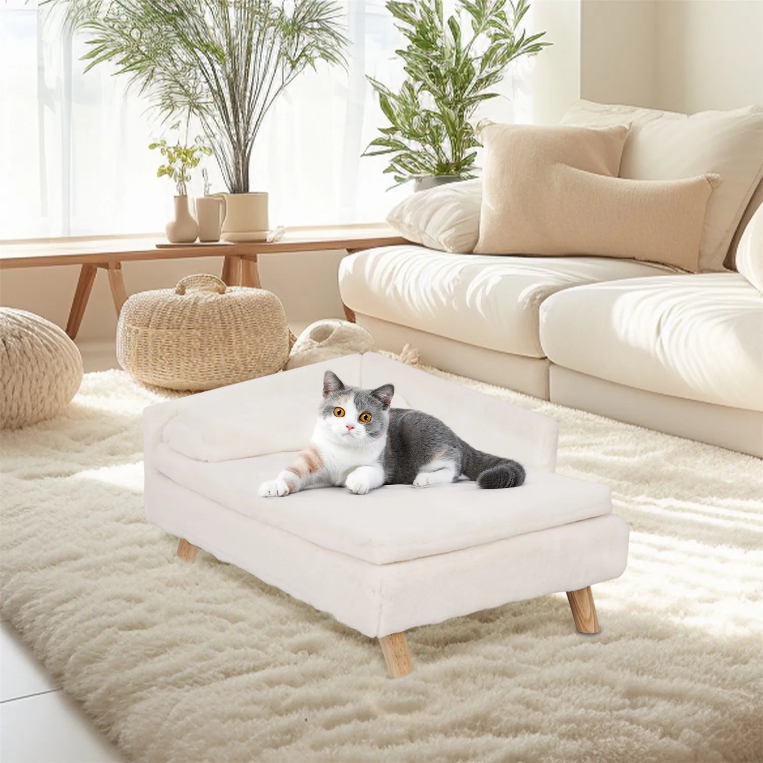 Waterproof Sofa  Bed