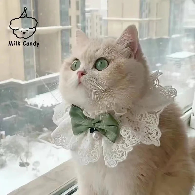 Cute Cat Bow Collar Lace