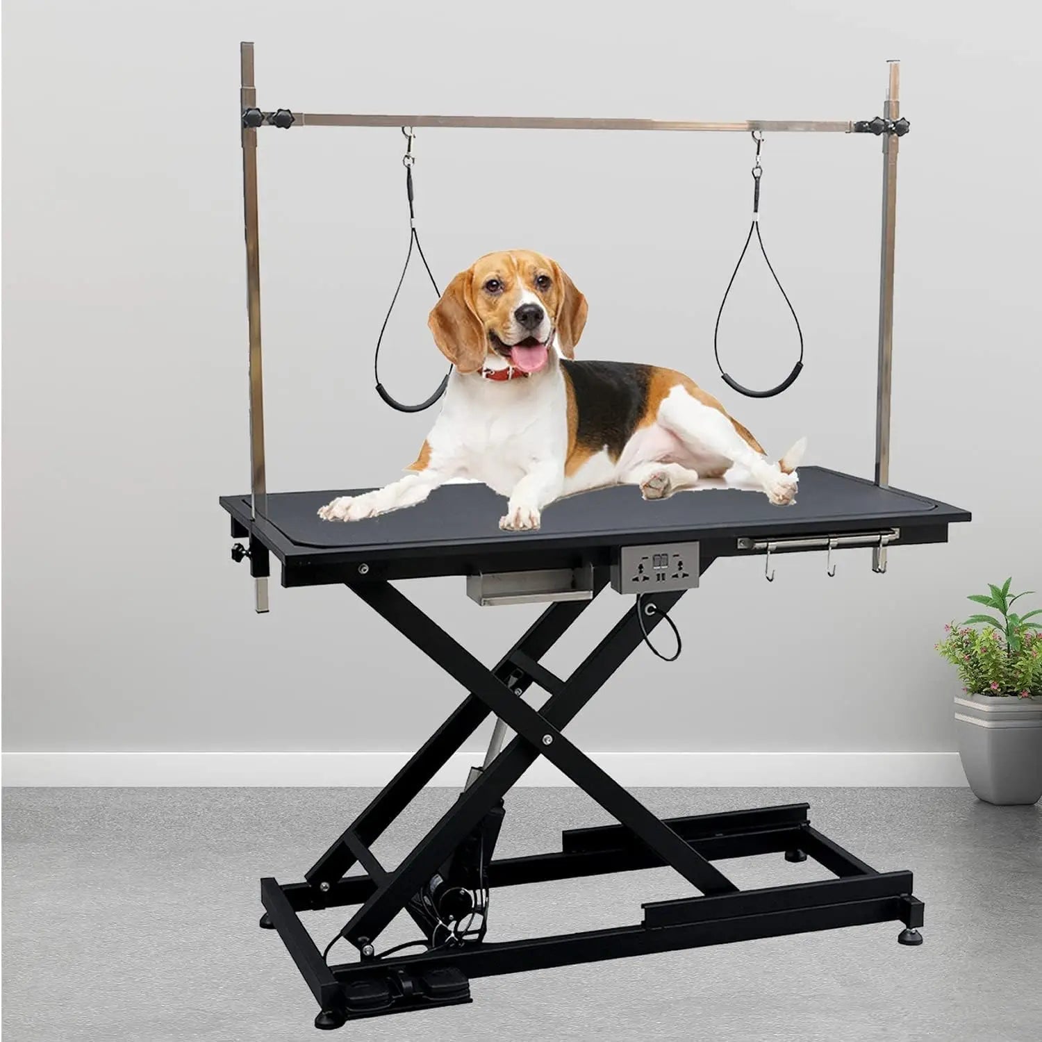 Lift Pet Grooming Table Heavy Duty Professional X-Type






 Electric Lift Dog Grooming