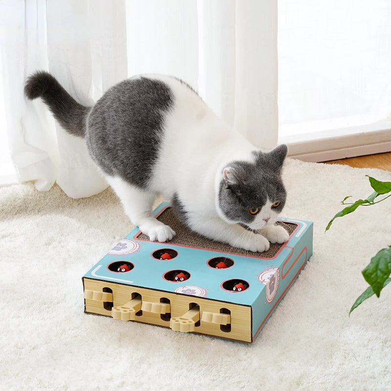 Cat Toy Whack-a-Mole
