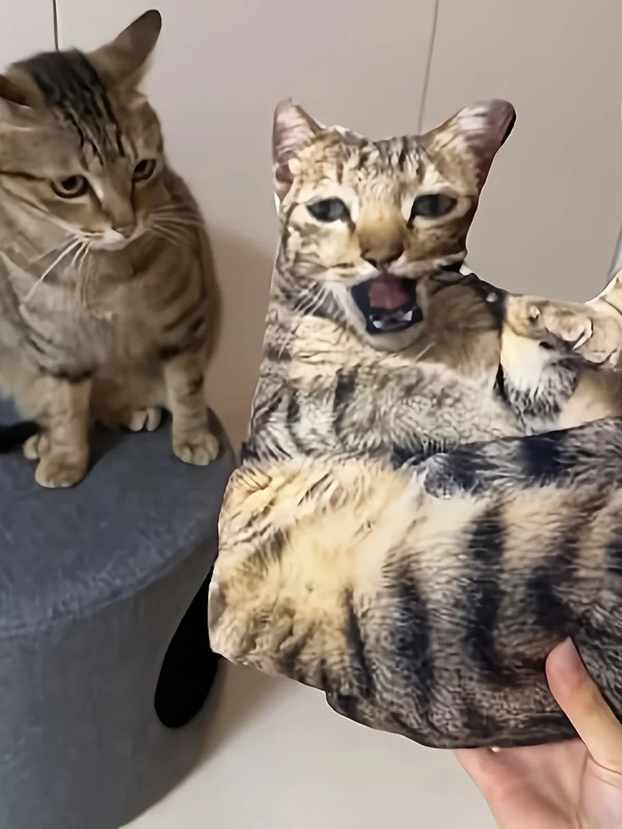 A customizable pet pillow