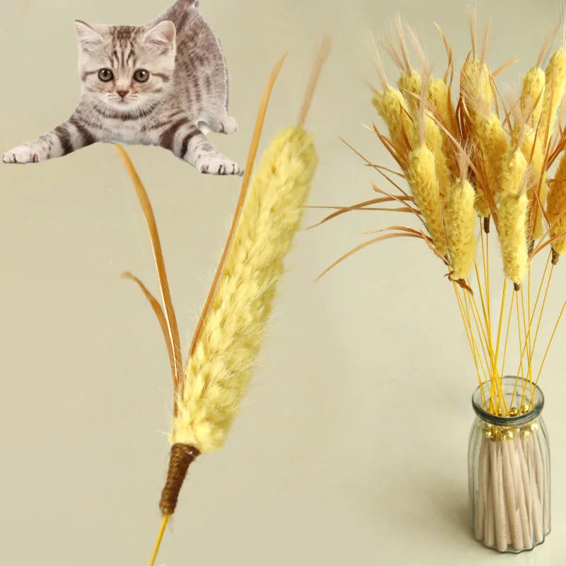 Wheat Ear Cat Tweezers,