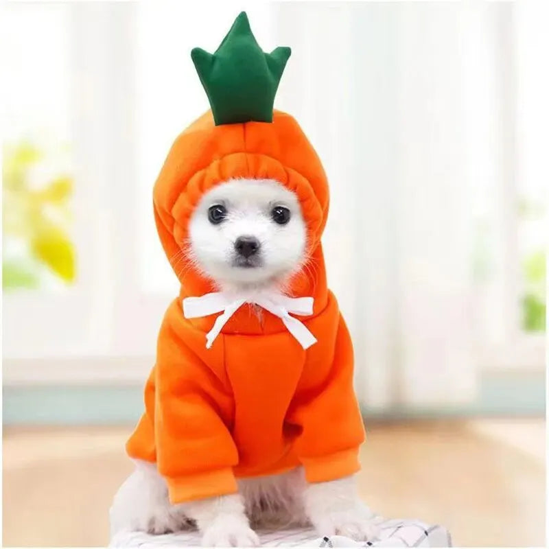 Cute Dog Hoodie