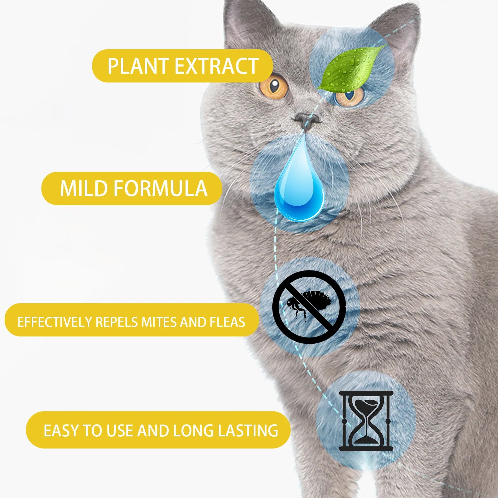 Cat Anti Flea Drops
