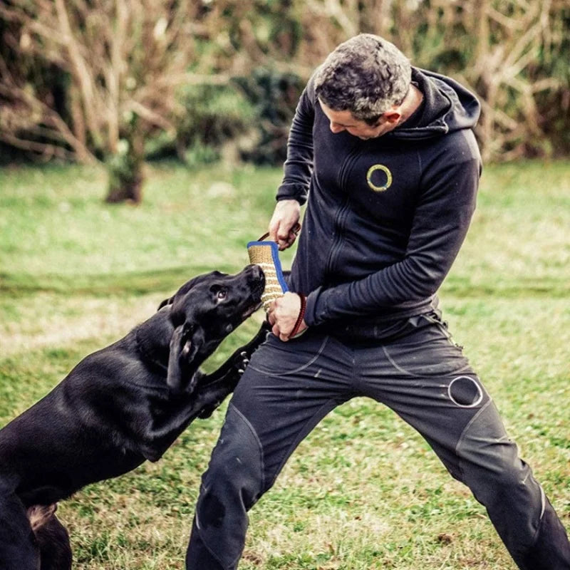 Interactive Dog Toy