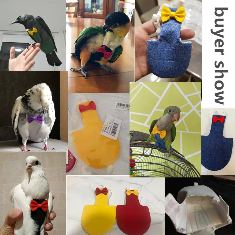 Bird Parrot Diaper