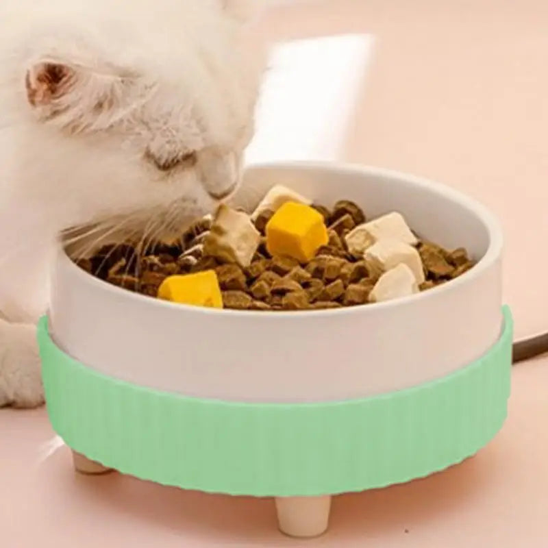 Heated Cat Bowl Rechargeable