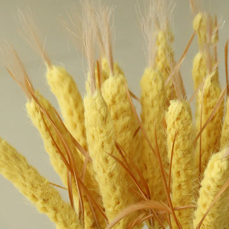 Wheat Ear Cat Tweezers,