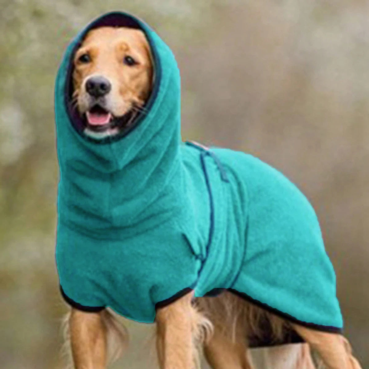 Generic Dog Winter Coat for Whippet, Greyhound