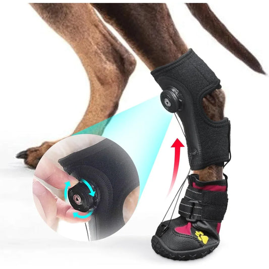 Drop Foot Brace with Reel for Dog
