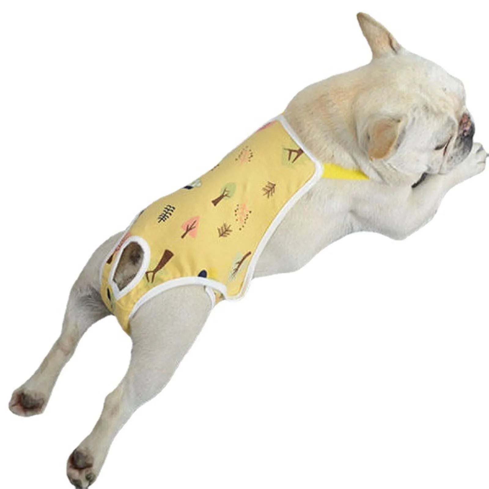 Unisex Pet Physiological Pants
