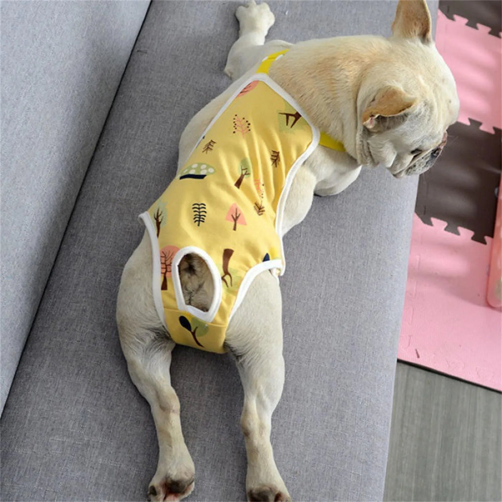 Unisex Pet Physiological Pants