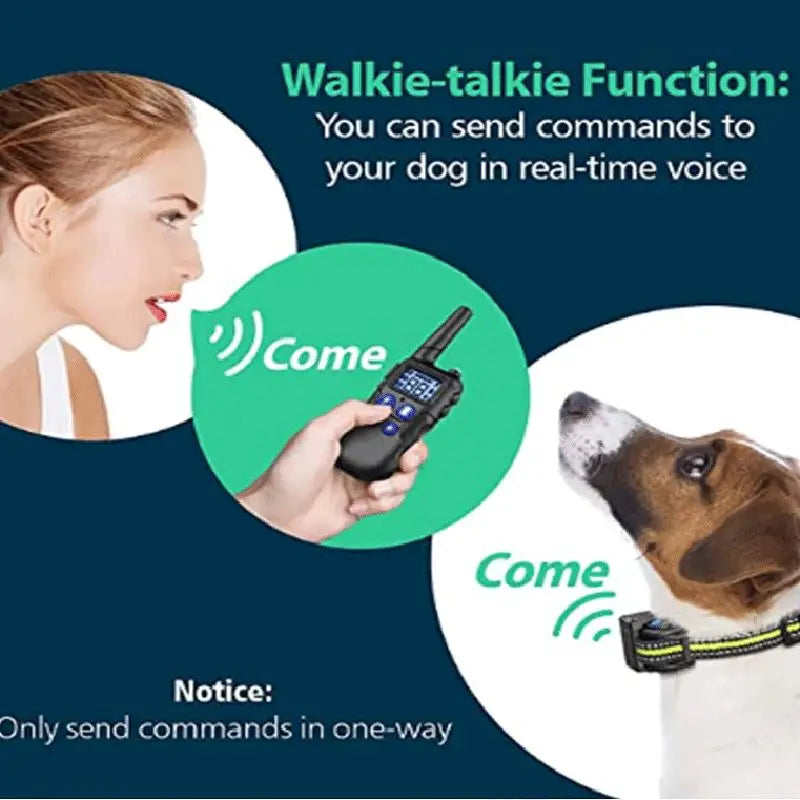 2000m Walkie-Talkie Pet Dog Training Collar