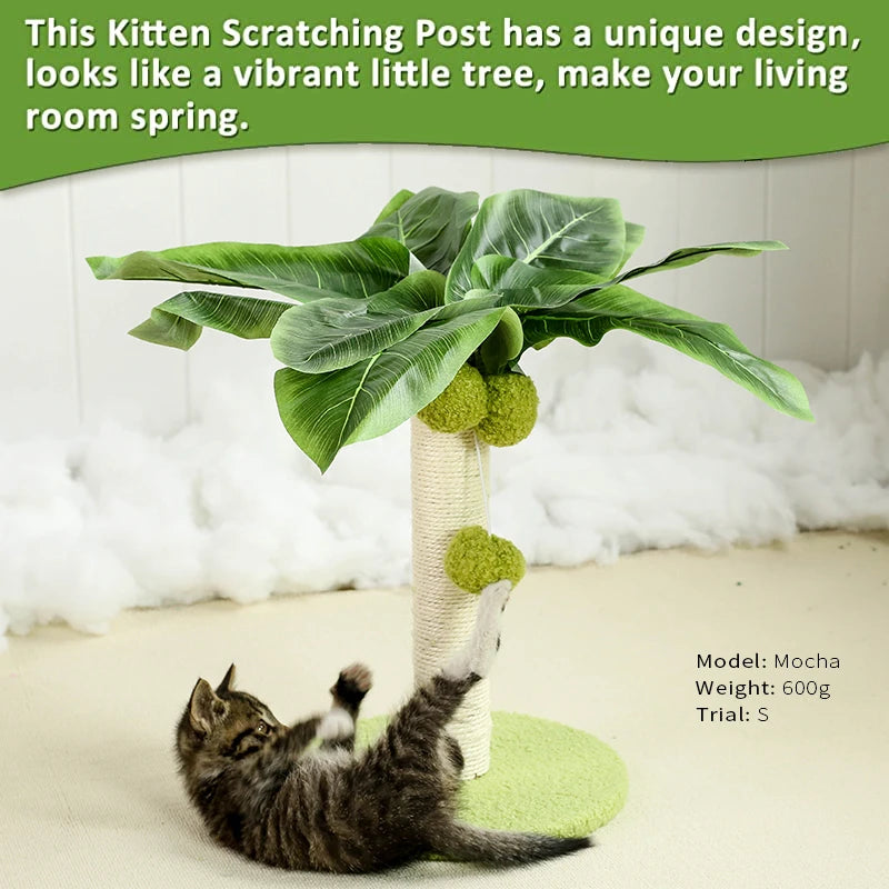 Cat Scratching Post