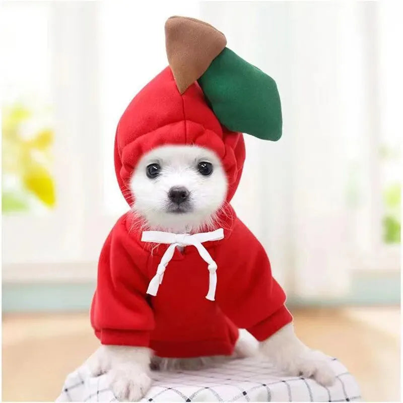 Cute Dog Hoodie