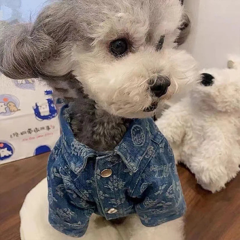 Printing Denim Clothes for Small Medium Dogs