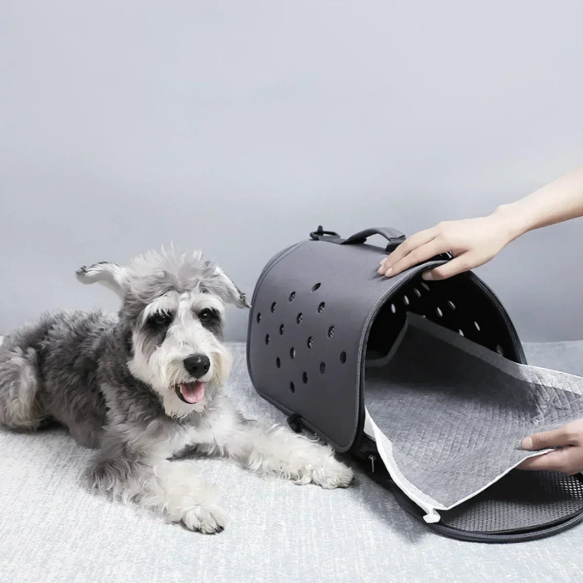 Eco-Friendly Bamboo Charcoal Puppy Pads-