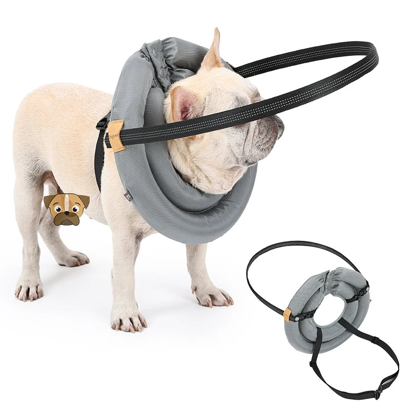 Blind Dog Collar