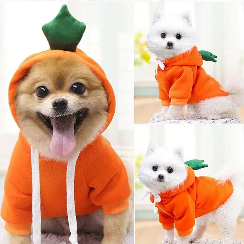 Cute Dog Hoodie