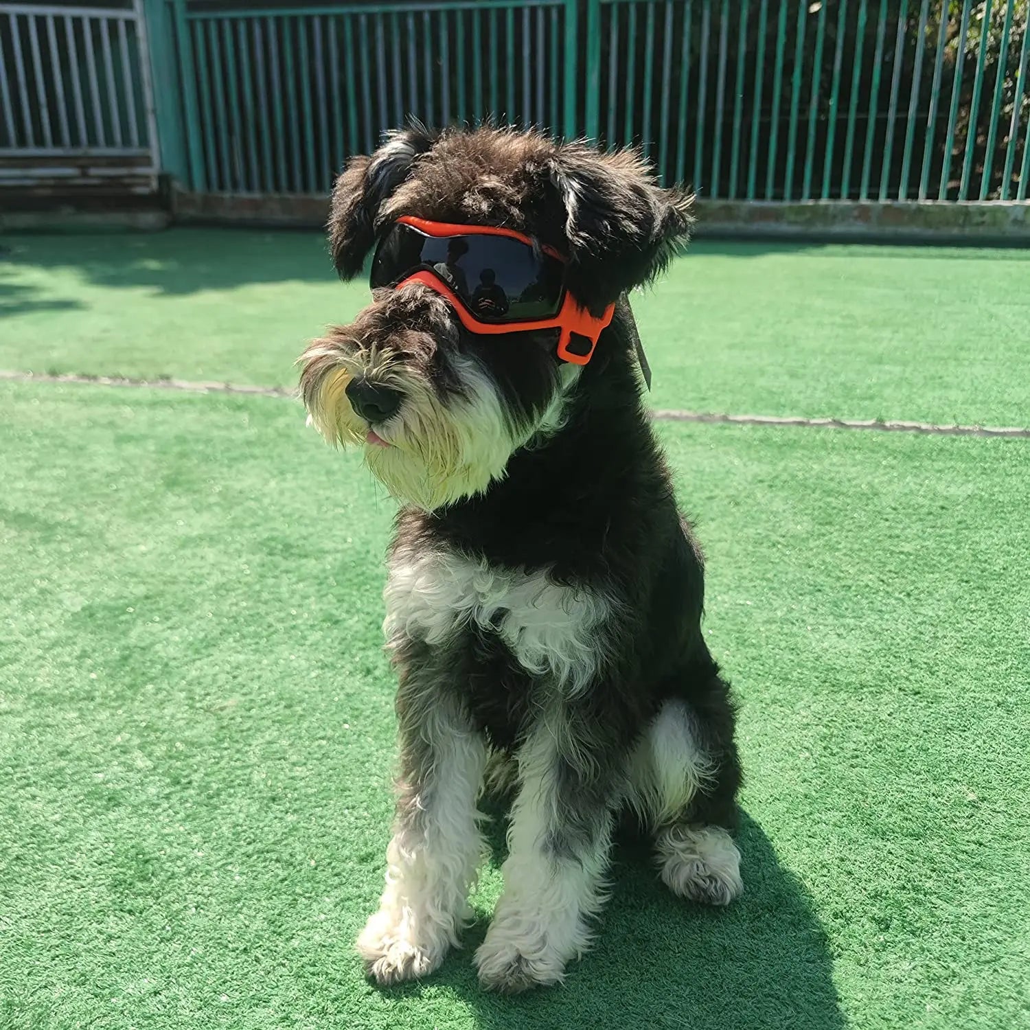 UV Protective Goggles