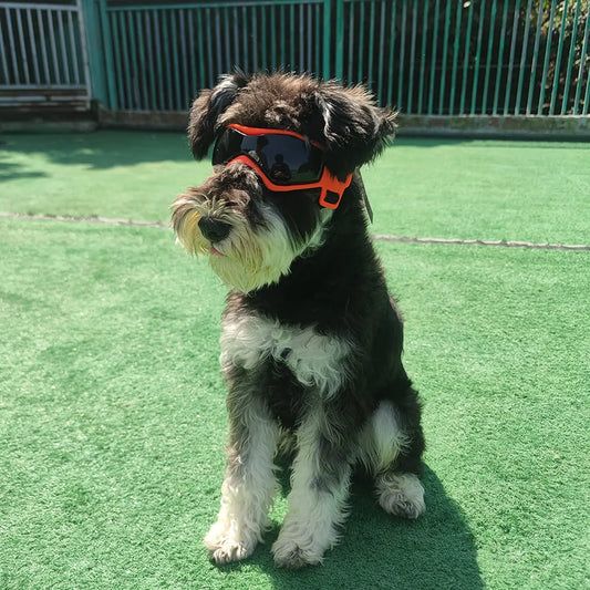 UV Protective Goggles
