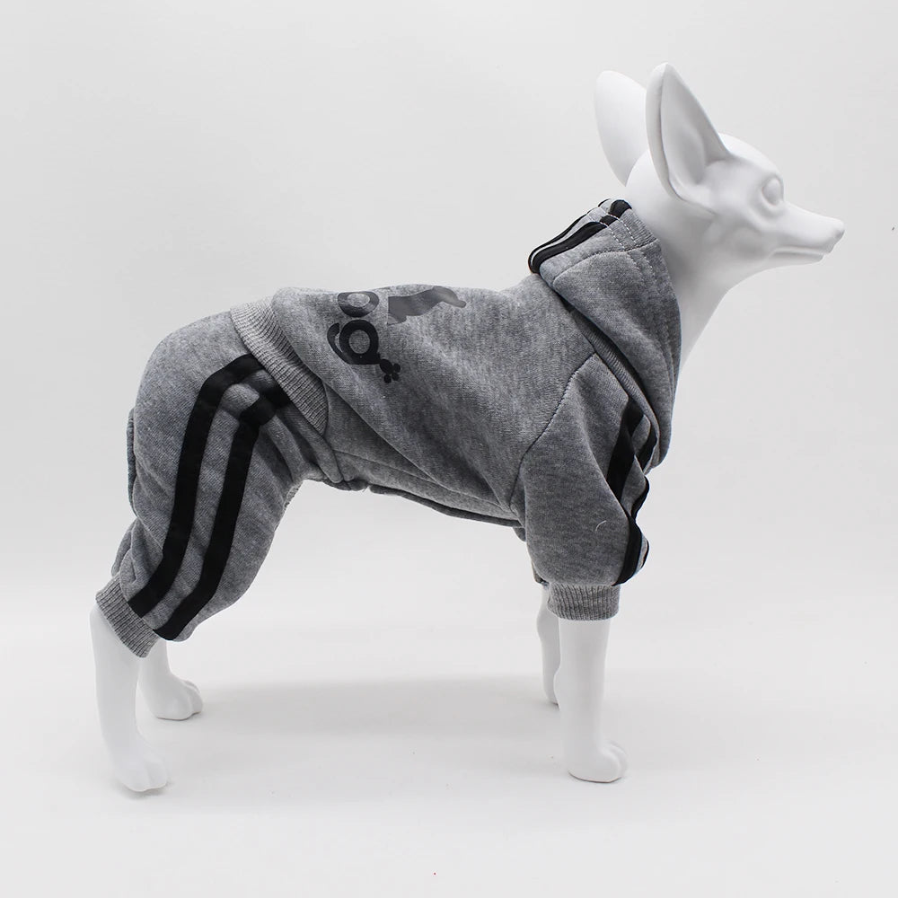 Brand Design Adidog Clothing