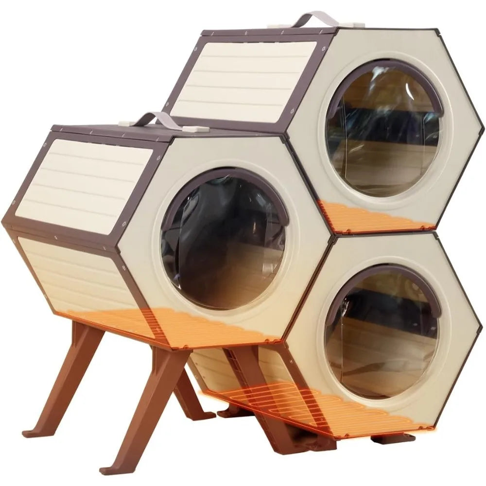 Outdoor Cat House