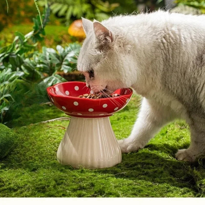 Mushroom  Cat Feeding Bowl