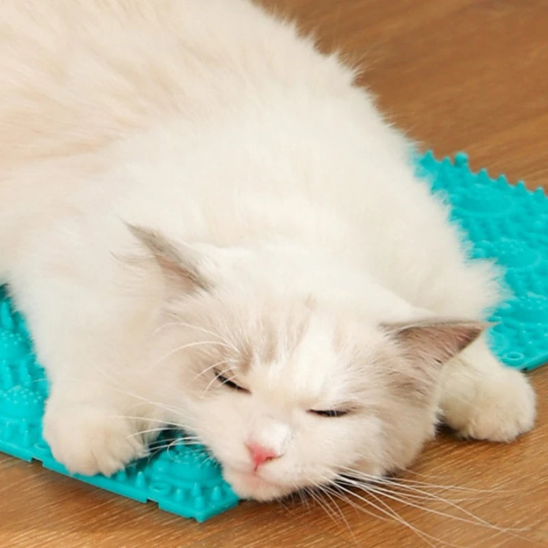 Pet Cat Hair Removal