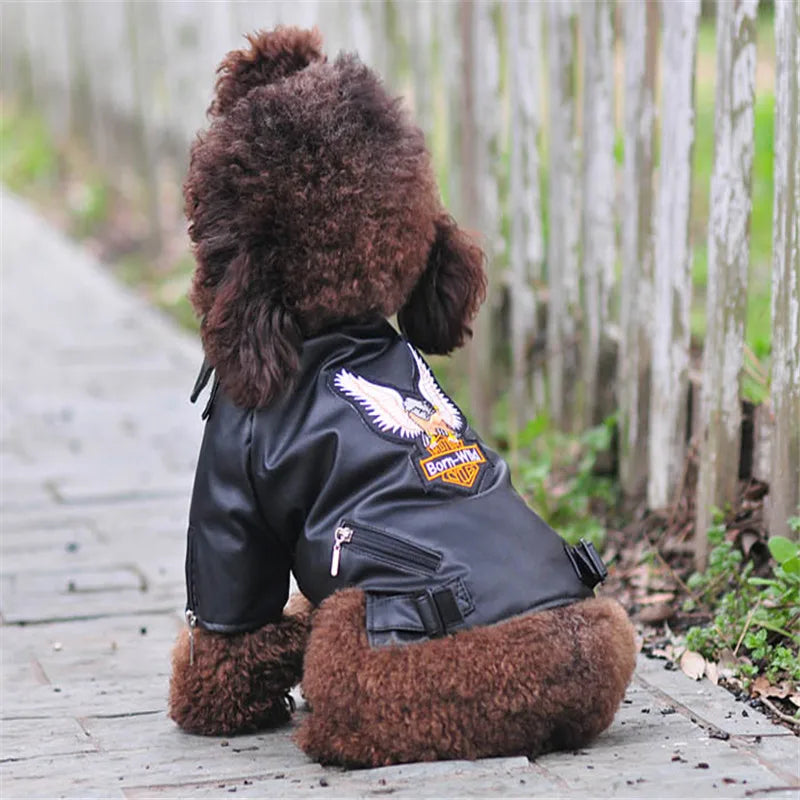 Glorious Eagle Pattern Dog Coat