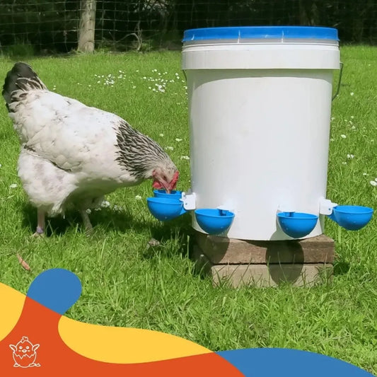 5PCS Poultry Kit
